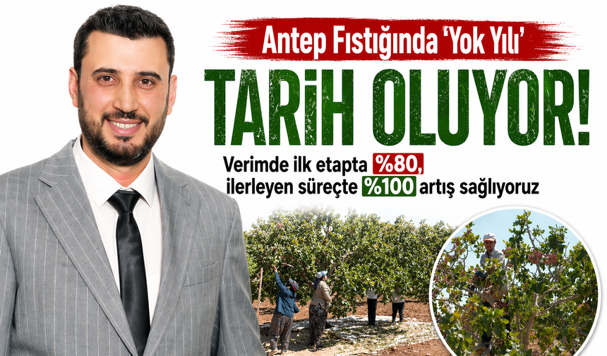 Antep Fıstığında ‘Yok Yılı’ tarih oluyor…