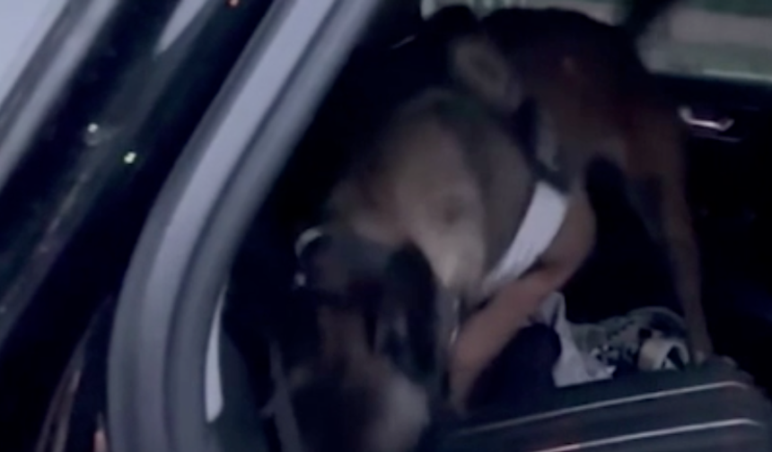 TAG otoyolunda 3 farklı araçta 5 kilo 90 gram uyuşturucu ele geçirildi