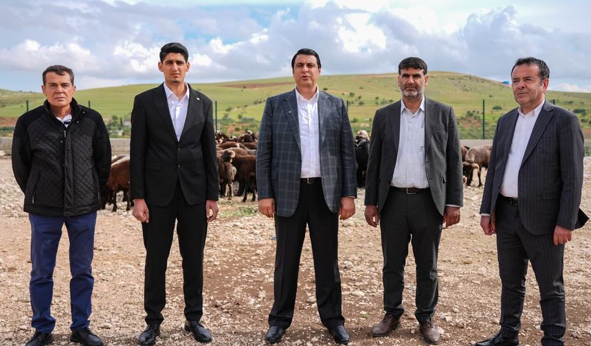 Gazianteplilere güzel haber! Umut Yılmaz kurban fiyatlarını açıkladı!