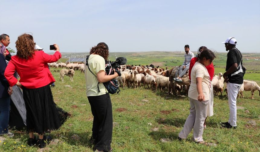 Sürü Nereye Gidiyor'un Gaziantep ayağındaki çekimleri tamamlandı