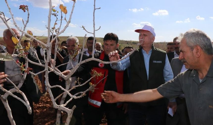 “Süper hücre” felaketi çiftçiyi vurdu: TZOB Başkanı Bayraktar afet bölgesinde!