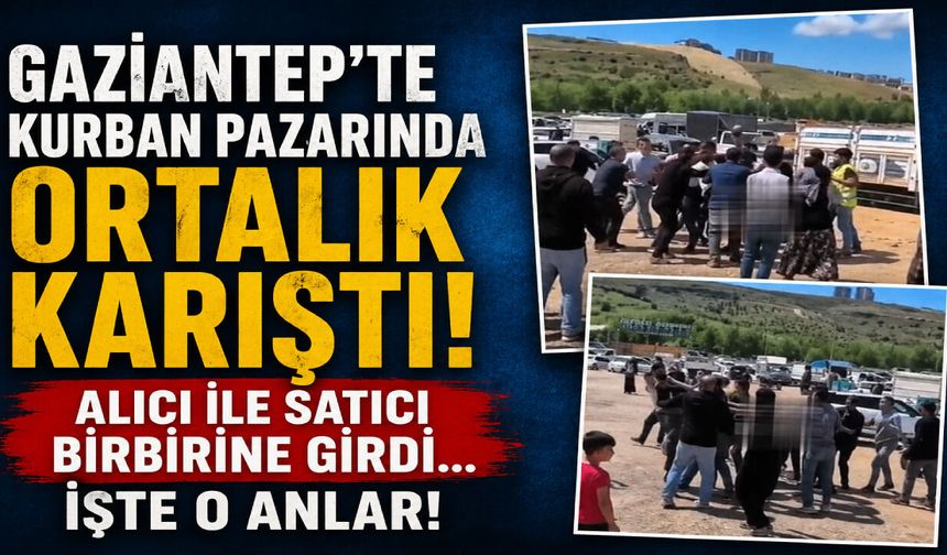 Gaziantep’te kurban pazarında ortalık karıştı! Alıcı ile satıcı birbirine girdi… İşte o anlar!