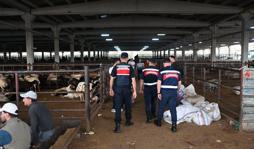 Jandarma ekiplerinden Gaziantepli vatandaşlara kritik uyarı! Denetimler devam ediyor