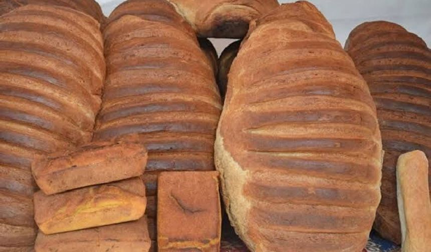 Gaziantep'te ekmek kültürü araştırması! Akademisyenler Anadolu'nun ekmek kültürünü araştırıyor