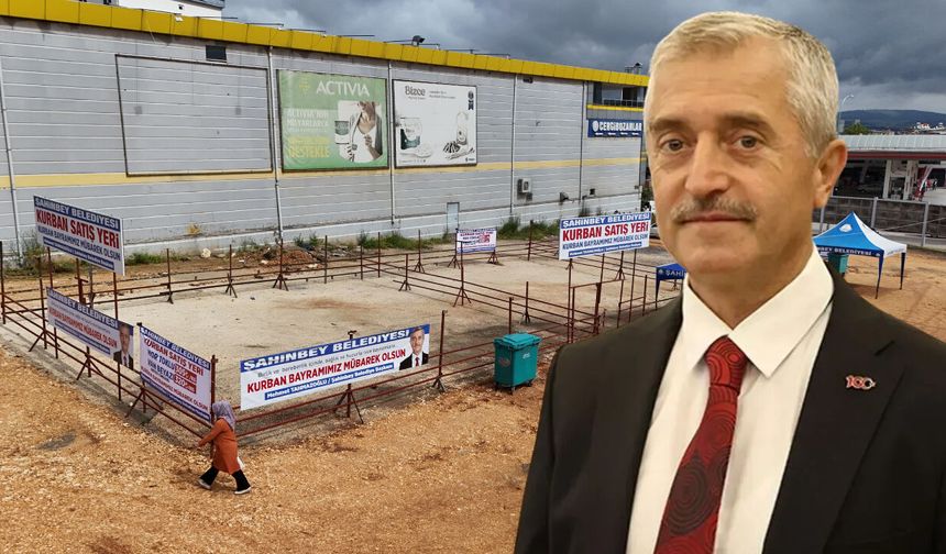 Tahmazoğlu duyurdu! Gaziantep’te kurban satışları başladı! İşte kurban fiyatları ve satış yerleri…