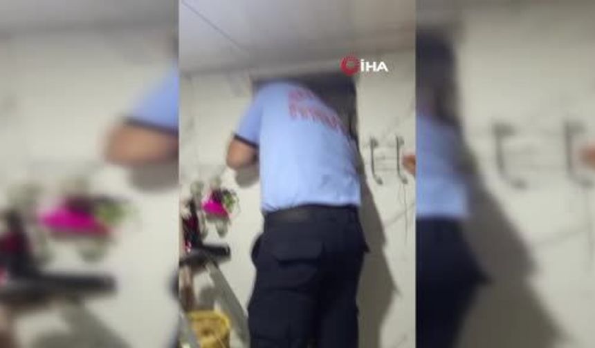 Gaziantep’te mahsur kalan güvercini itfaiye kurtardı! (VİDEO HABER)