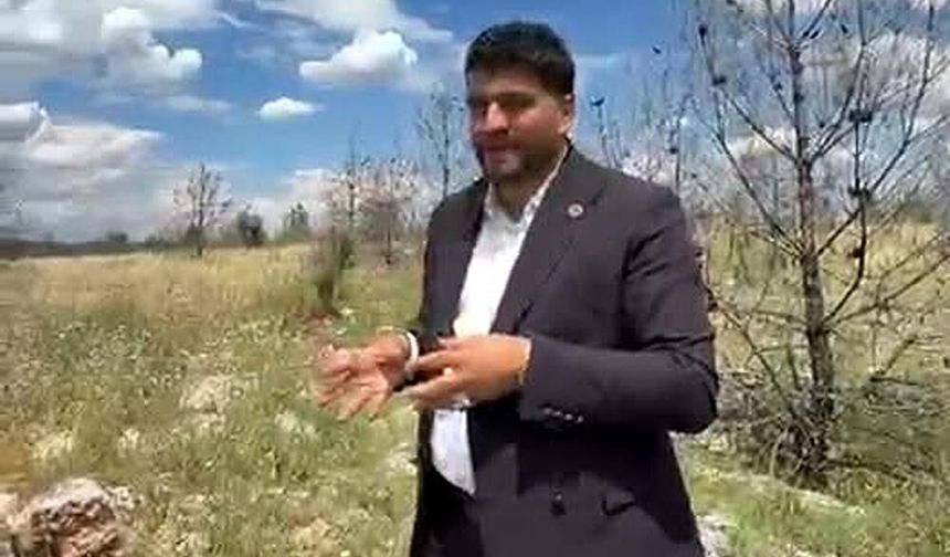 Gaziantep kırsalında yangın endişesi: Vatandaşlar önlem istiyor!
