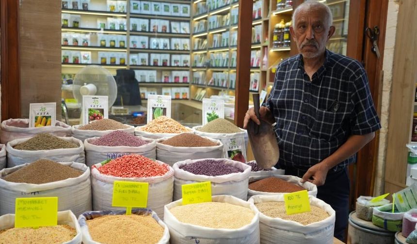 Gaziantep'te dede mesleğini 3 bin dönüm arazide yaşatıyor!