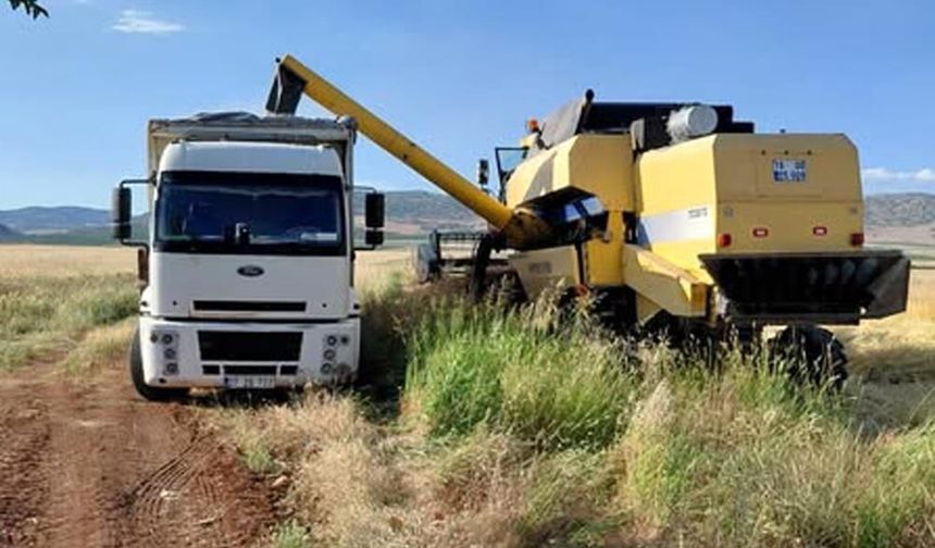 Gaziantep’te ilk arpa hasadı yapıldı! Kilosu 12,50 TL den satıldı
