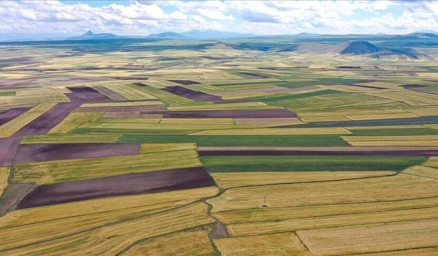 Milli Emlak Gaziantep’te 9 arsa satışı yapacak