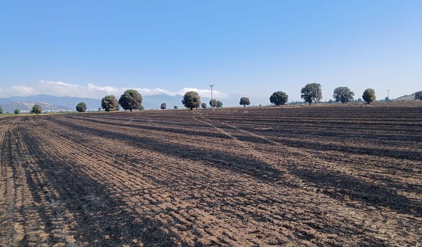 Gaziantep’teki anız yangınında 400 dönüm alan zarar gördü