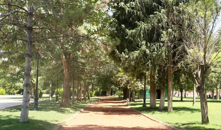 Gaziantep'te sıcak hava etkili oluyor