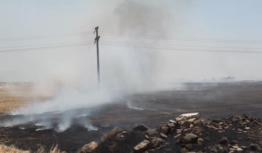 Gaziantep'te anız yangınıyla ilgili sıcak gelişme! 3 şüpheli yakalandı