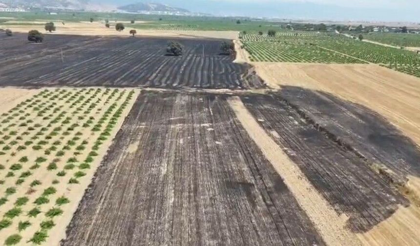 Gaziantep’te anız yangını! Dönümlerce arazi zarar gördü…