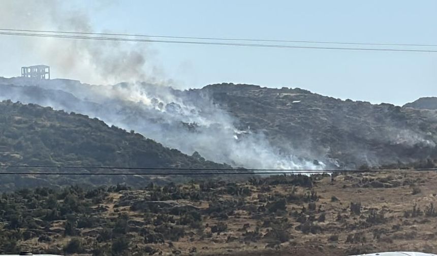 Gaziantep'te makilik alanda yangın (VİDEOHABER)