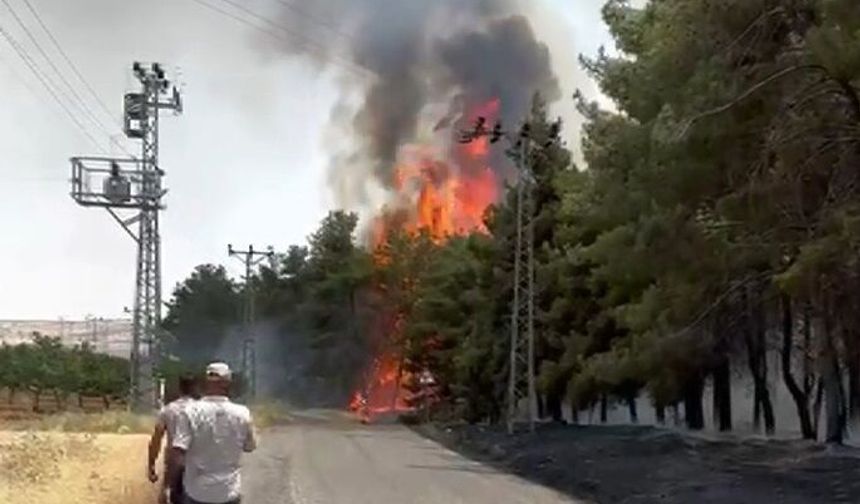 Gaziantep’te korkutan orman yangını! Ekipler müdahale etti