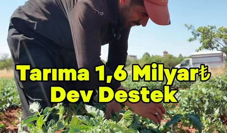 Gaziantep’te Belediyeden çiftçilere 1.6 Milyar TL destek!