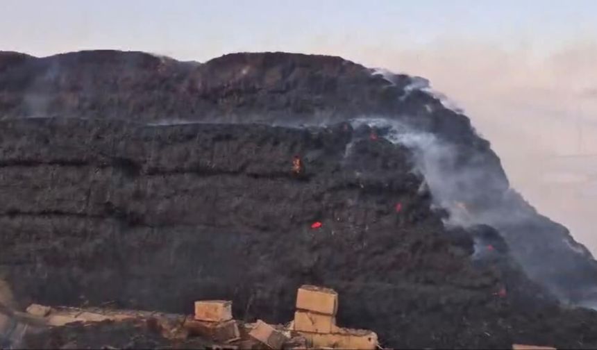 Gaziantep'te korkutan yangın! Binlerce dönüm arazi kül oldu
