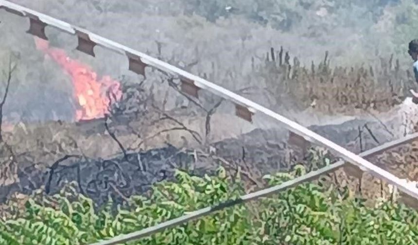 Suriye sınırında orman yangını! Ekipler müdahale etti