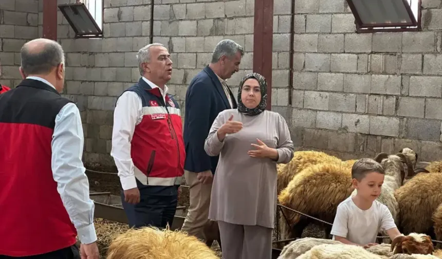 Gaziantep’te "Kırsalda Bereket" projeleri kapsamında hayvan teslimatları sürüyor