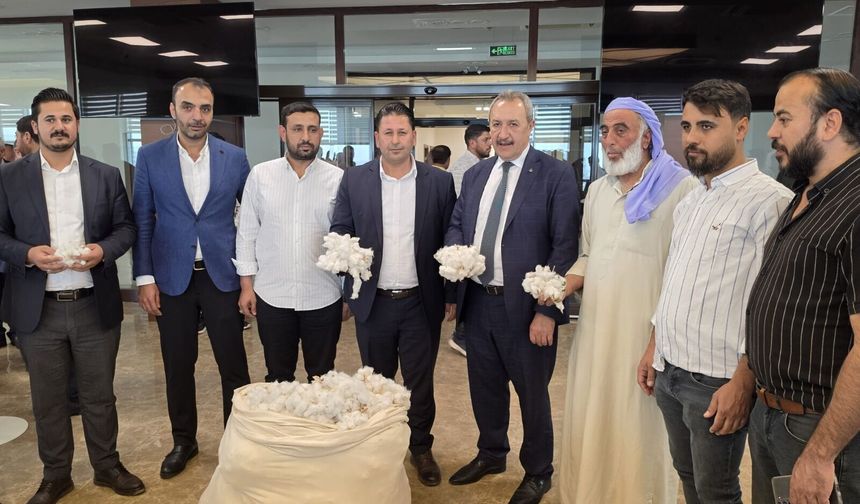Şanlıurfa’da sezonun ilk pamuğu ihaleyle satıldı