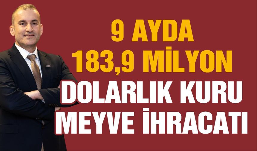 9 ayda 183,9 milyon dolarlık kuru meyve ihracatı