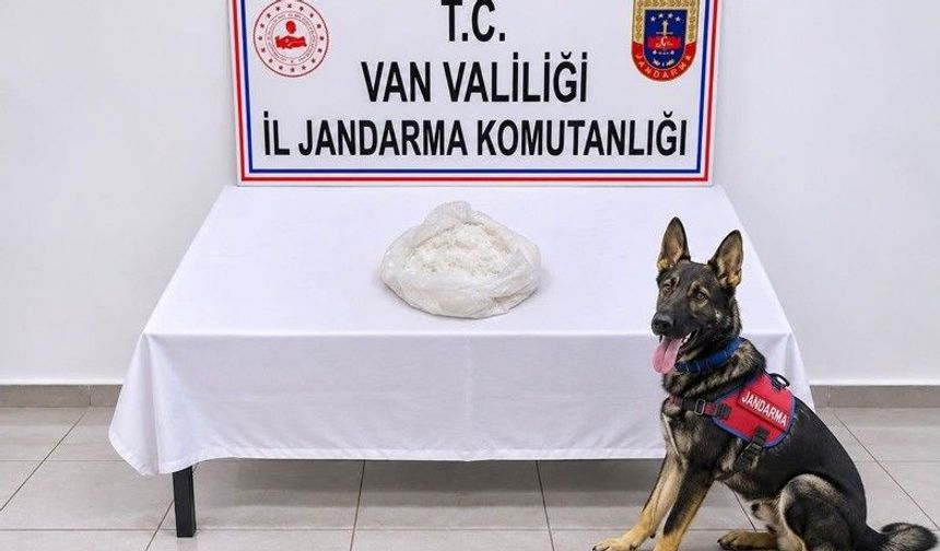 Yolcunun çantasından çıkanlar şok etti