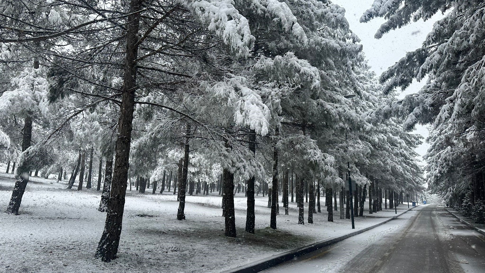 Gaziantep'in Kar Hasreti Dindi! Birbirinden Güzel Kar Manzaraları!