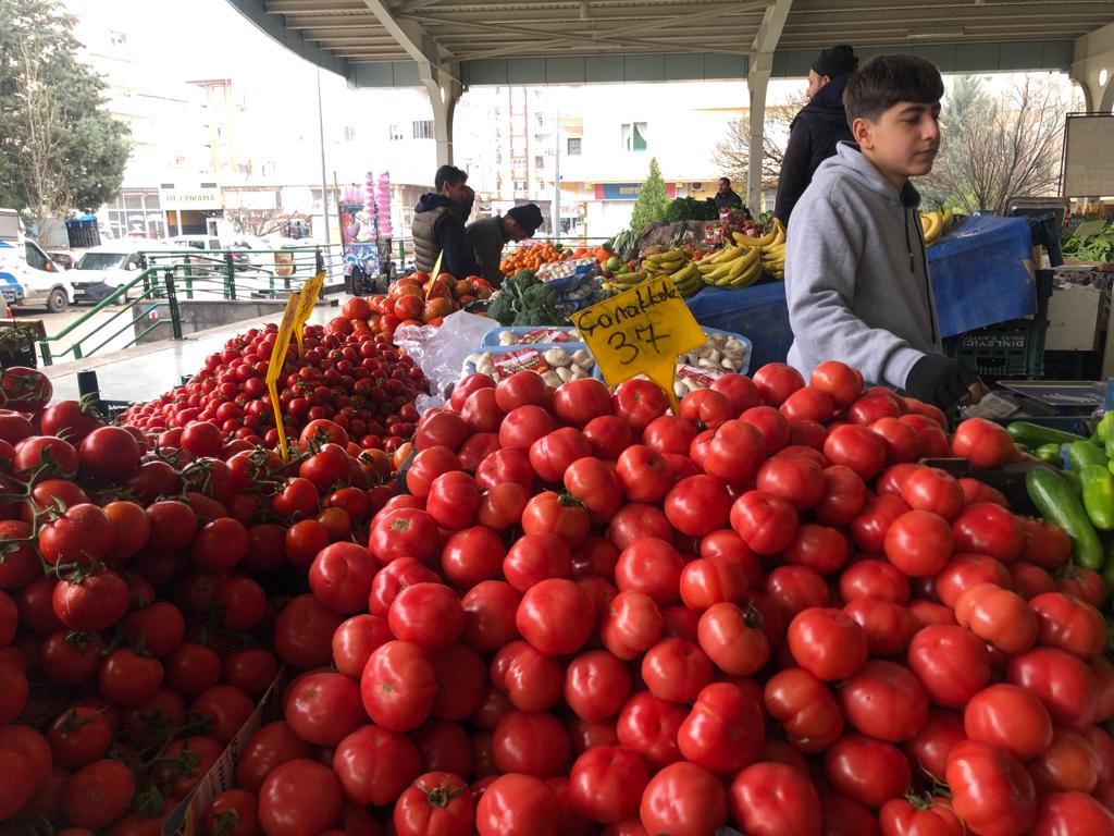 Sebze Meyvede Fiyatları