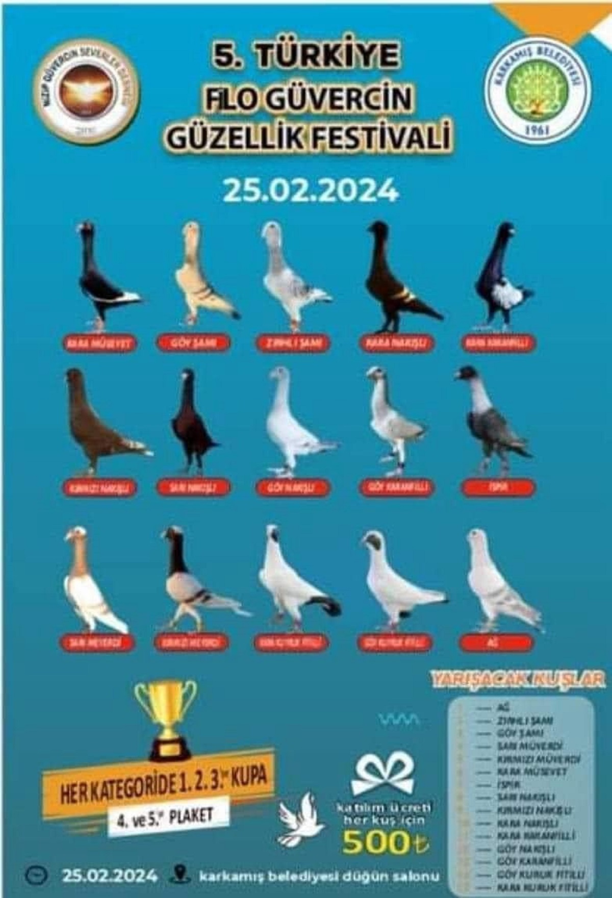 Güvercin (1)