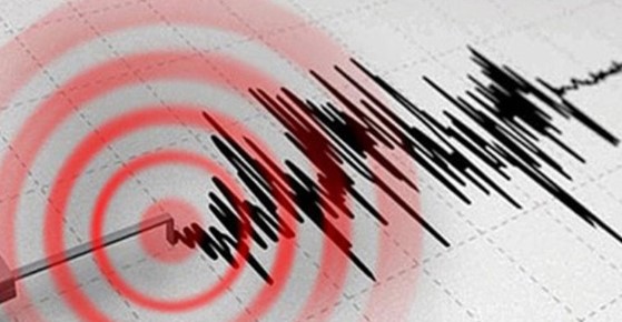 Ege Denizi'nde gece saatlerinde meydana gelen depremler, AFAD tarafından yapılan açıklamaya göre, Muğla ve Karaburun merkezli olarak gerçekleşti. AFAD'ın internet sitesinde yer alan bilgiye göre, her iki depremin ardından herhangi bir can ve mal kaybı yaşanmazken, uzmanlar bölgedeki deprem aktivitesini yakından takip ediyor.