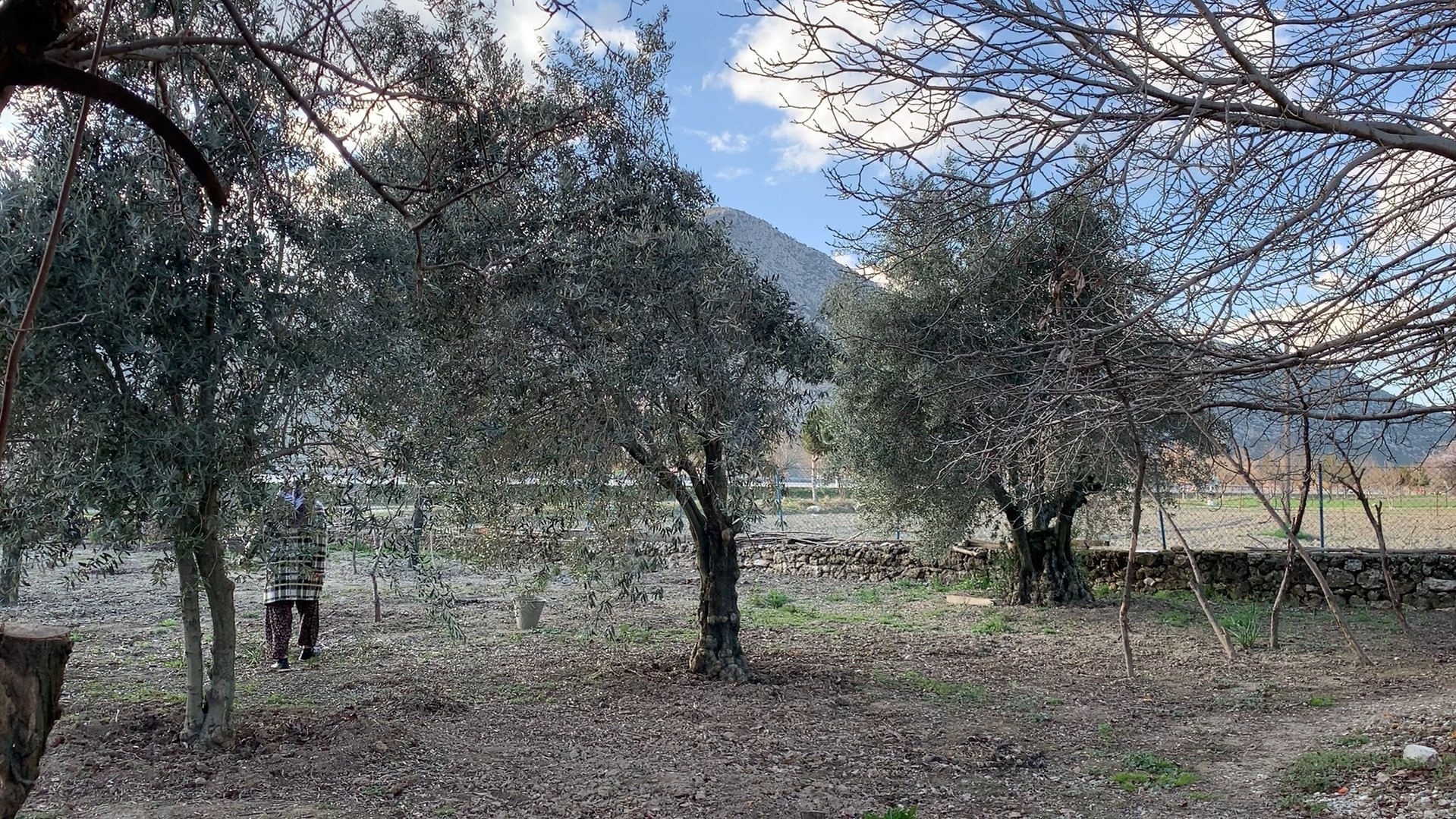 Burdur (3)