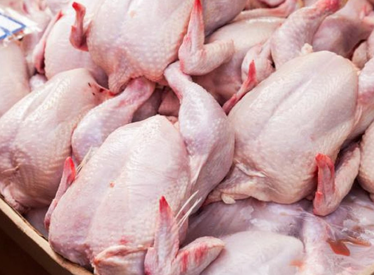 Gaziantep’te Tavuk Fiyatları Düşecek! (6)
