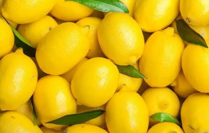 SAĞLIK AÇISINDAN FAYDALI
Limon, C vitamini açısından zengin olup, sisteminin güçlenmesine yardımcı olabilir. Sabahları bir bardak limonlu su tüketilebilir, sindirimi iyileştirilebilir ve metabolizmayı hızlandırabilir. Ayrıca limonun antioksidanları cilt özelliklerini destekleyebilir ve yaşlanma belirtilerini gösterir.
Limonun bilinmeyen kullanım alanları:
