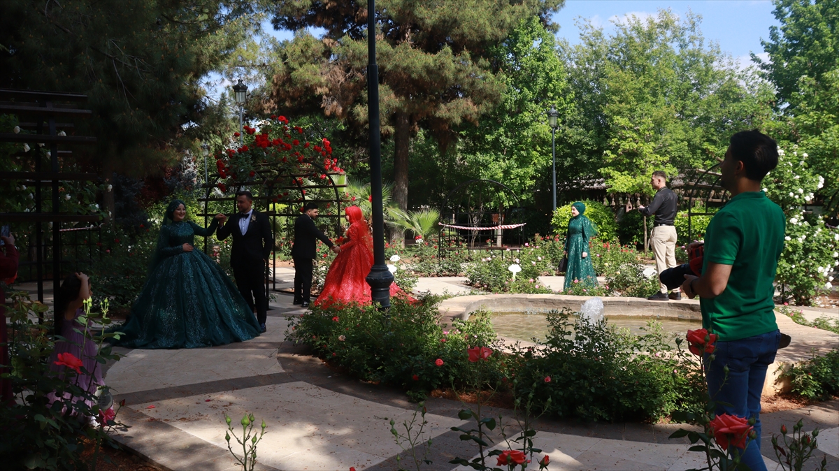 Özellikle ilkbahar aylarında gelin ve damatlardan gelen talepleri değerlendirmek amacıyla Botanik Bahçe’yi tercih eden fotoğrafçıların da vazgeçilmezi oluyor.