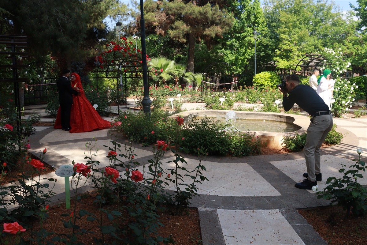 Botanik Bahçe, bu özellikleriyle hafta sonunu ilkbahar renkleri içerisinde geçirmek isteyen ailelerin ve mutlu anlarını ölümsüzleştirmek isteyen çiftler tarafından ilgi görüyor.