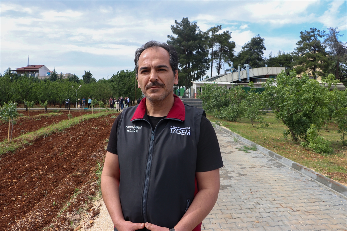 Gaziantep Türkmenistan'daki Antep fıstığı yetiştiriciliğine öncülük edecek