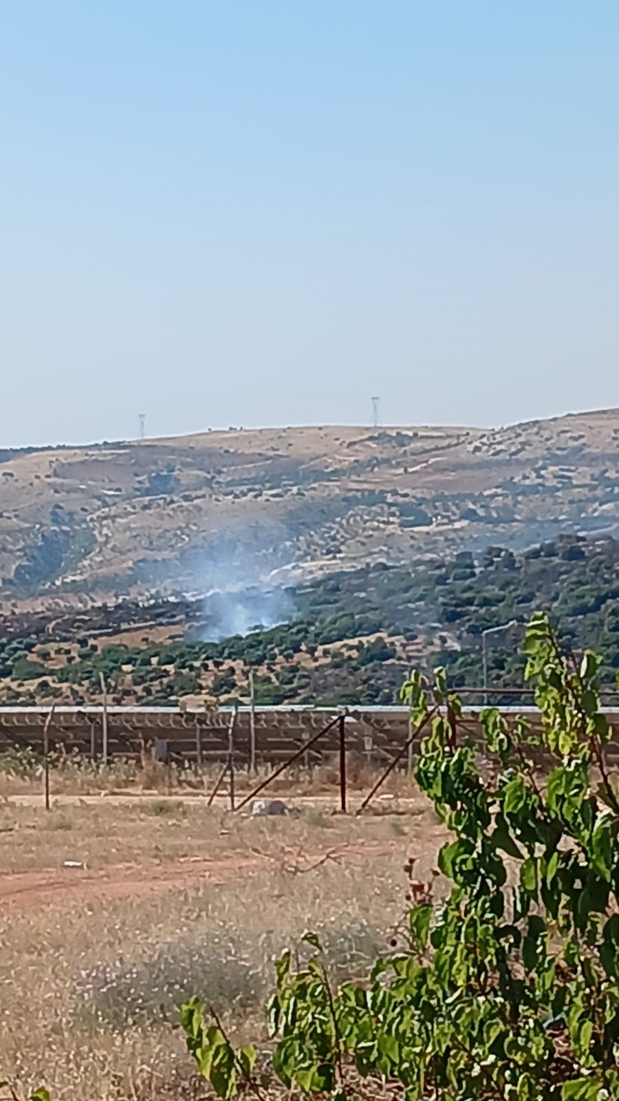 Yangın