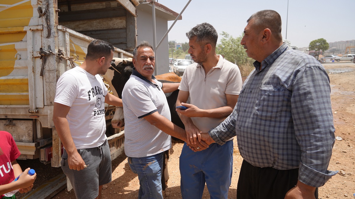 Gaziantep'te Kurban Pazarı Mahşer Yerine Döndü (1)