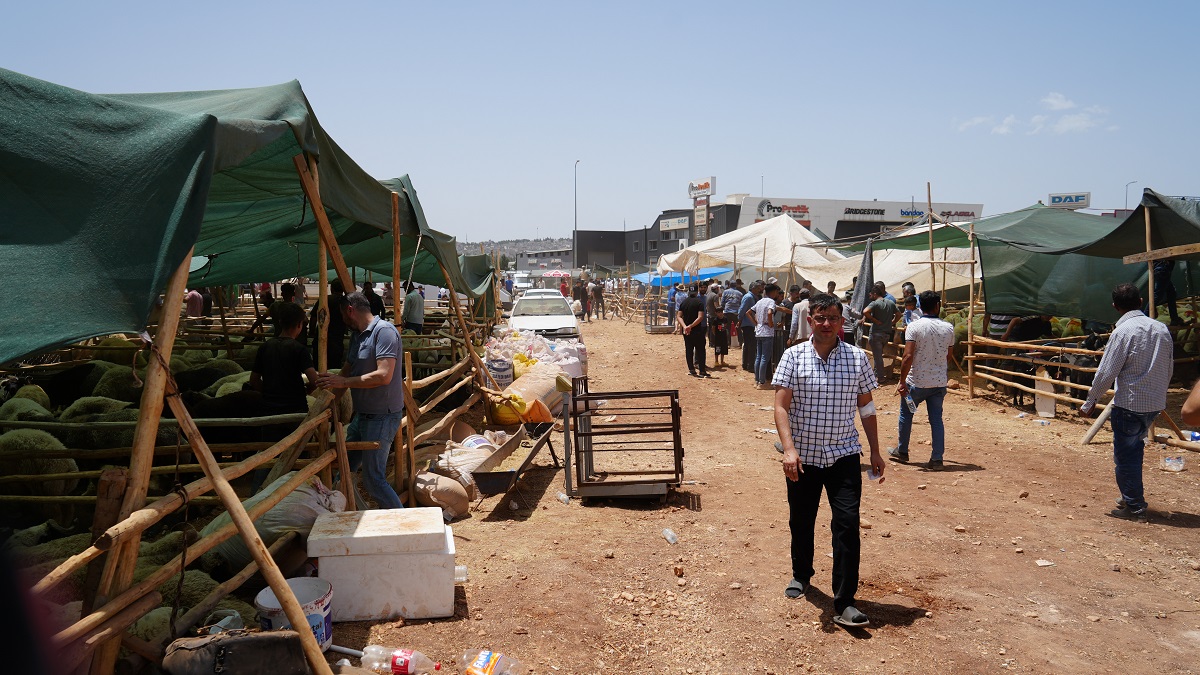 Gaziantep'te Kurban Pazarı Mahşer Yerine Döndü (4)