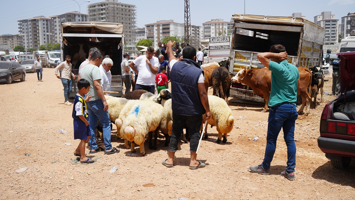 Gaziantep'te Kurban Pazarı Mahşer Yerine Döndü (6)