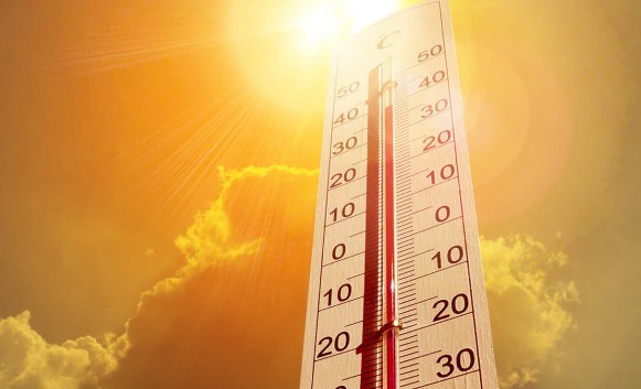 20 HAZİRAN İL İL HAVA DURUMU TAHMİNLERİ
MARMARA BÖLGESİ
Edirne: Parçalı bulutlu, 38°C
İstanbul: Parçalı bulutlu, 31°C
Kırklareli: Parçalı bulutlu, 34°C
Kocaeli: Parçalı bulutlu, 32°C
