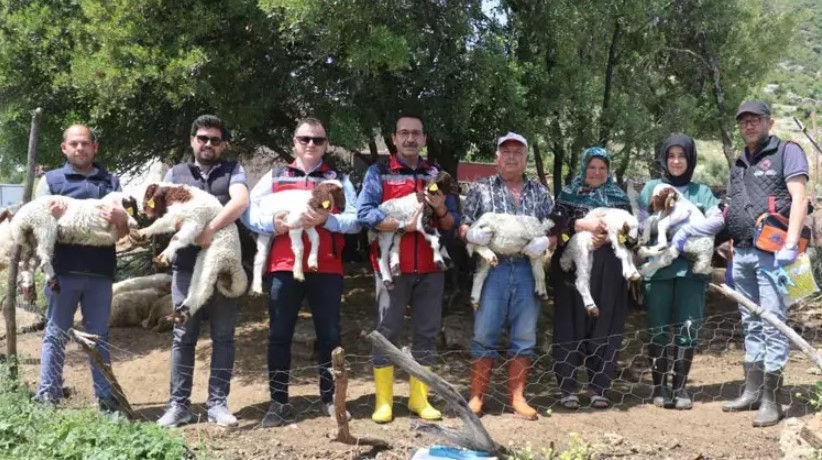 Gaziantepli Besiciler Devlet Destekleri Ile Buyuyor 2