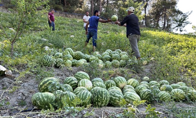 Kavurucu Sıcağa Karşı Çözümü Böyle Buldu: Hepsine Tek Tek Bunu Yaptı