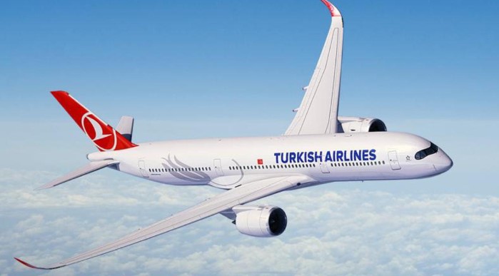 SEKTÖRLERİN TEPKİLERİ
Birçok şirket, yaşanan bu büyük kesinti nedeniyle faaliyetlerini geçici olarak durdurmak zorunda kaldı. Havacılık sektöründe uçuşlar iptal edilirken, bankacılık sektöründe de ödeme sistemleri aksadı. Medya kuruluşları ise yayın yapamaz hale geldi.
