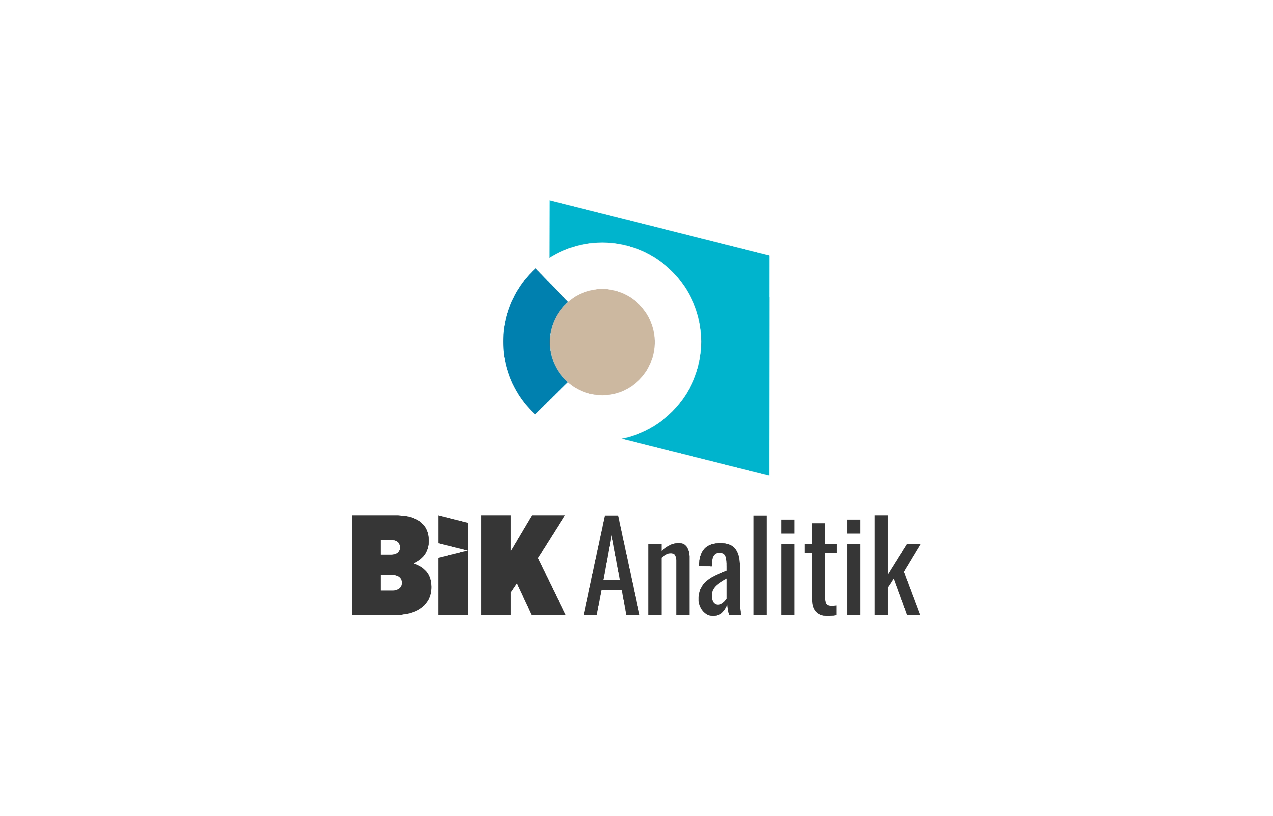 Bi̇k Analitik Logo