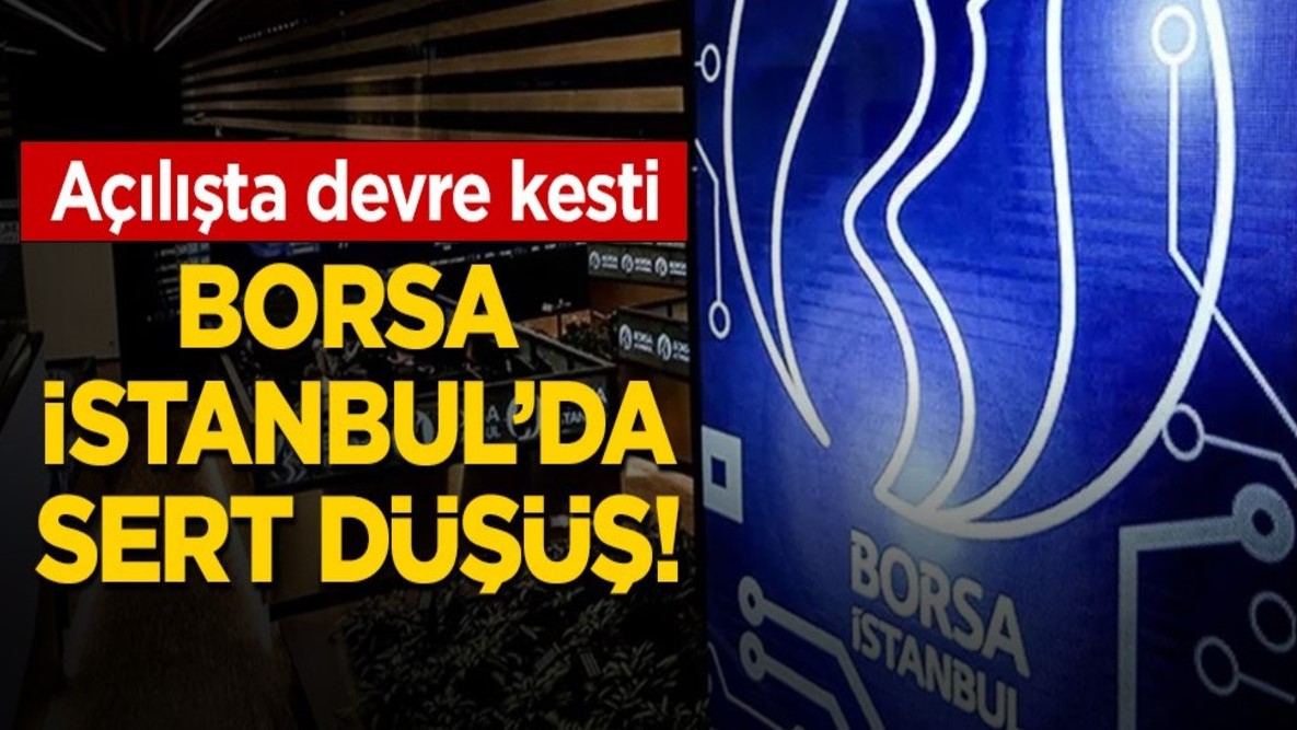 Borsa Istanbulda Ani Dusus Nedenleri Ve Sonuclari-1