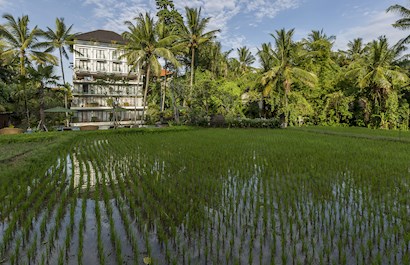 Ubud (Endonezya)