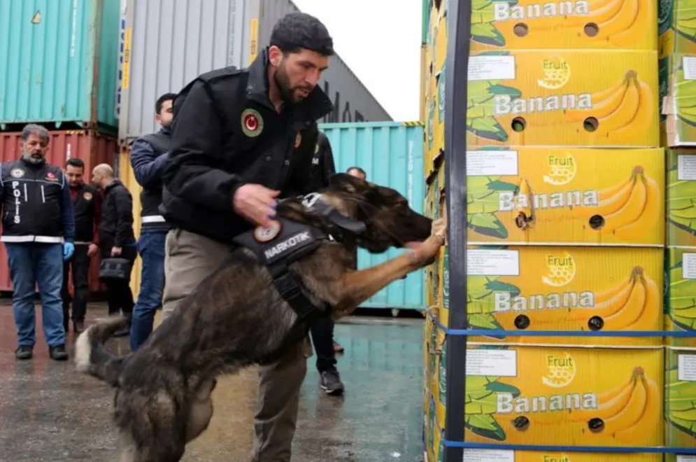 Z Kusagi Mafyasi Turkiyedeki Yeni Nesil Suc Orgutleri Hakkinda Neler Biliniyor 3