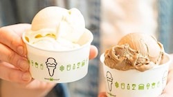 Frozen custard